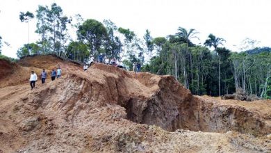 kontisi gunung yang dikeruk oleh para penambang liar menggunaka alat eskavator